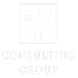 BNP Consulting Group logo